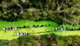 Begin your visa-extended day with Vietnam’s tranquil ambiance